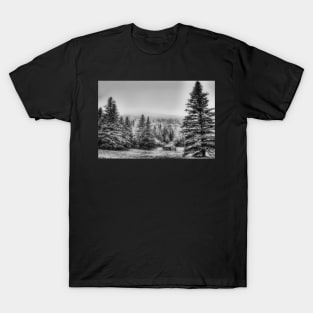 Rustic Remnants T-Shirt